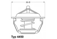 Thermostat, coolant