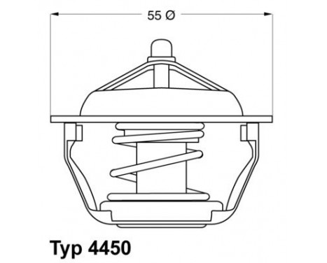 Thermostat, coolant