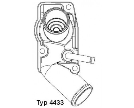 Thermostat, coolant