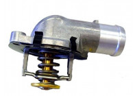 Thermostat, coolant