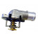 Thermostat, coolant