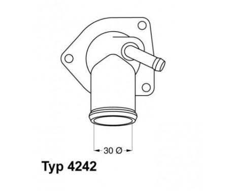 Thermostat, coolant