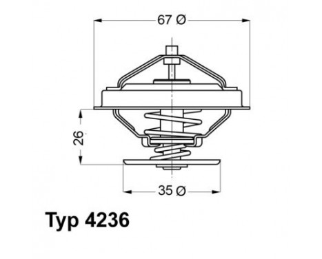 Thermostat, coolant