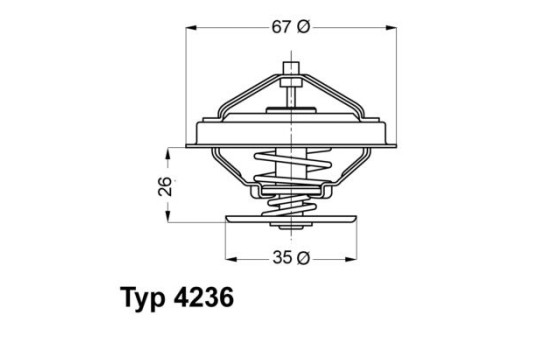 Thermostat, coolant