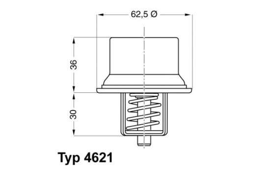 Thermostat, coolant