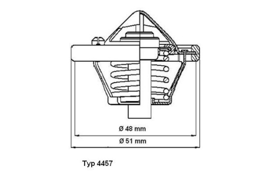 Thermostat, coolant