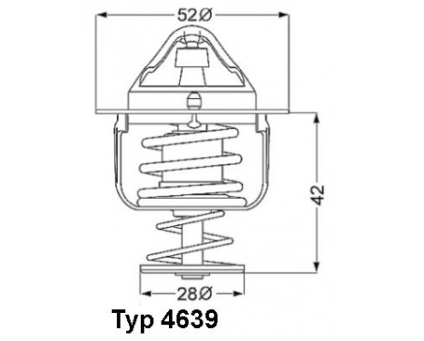 Thermostat, coolant