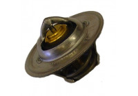 Thermostat, coolant