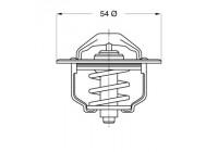 Thermostat, coolant