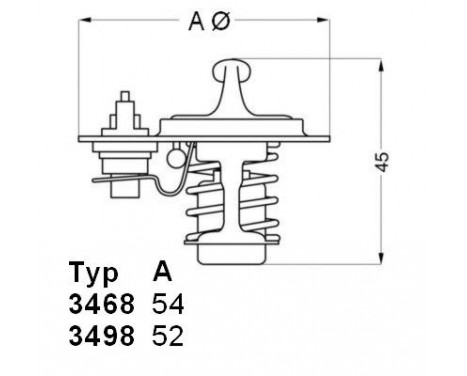 Thermostat, coolant