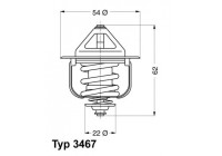 Thermostat, coolant