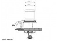 Thermostat, coolant