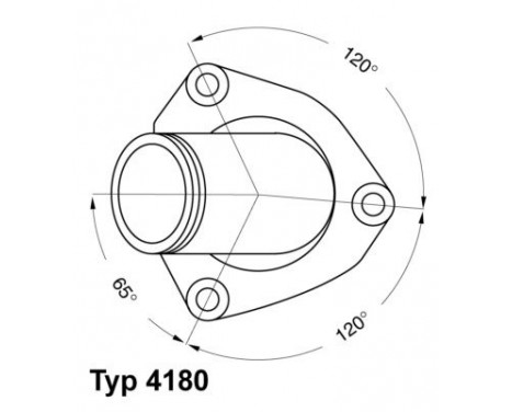 Thermostat, coolant