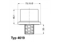 Thermostat, coolant