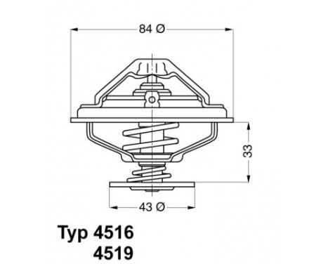 Thermostat, coolant