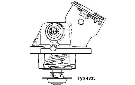 Thermostat, coolant