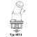 Thermostat, coolant
