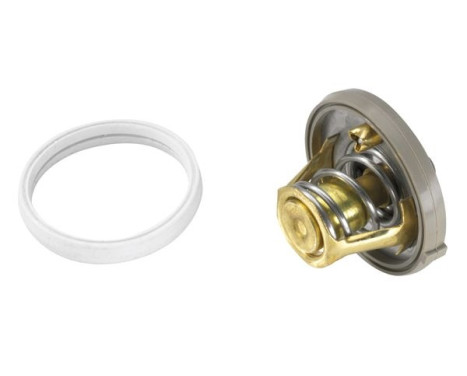 Thermostat, coolant