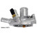 Thermostat, coolant