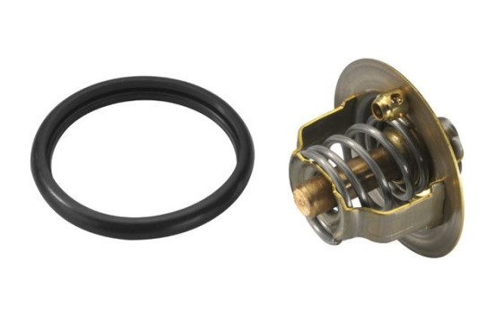 Thermostat, coolant, Image 2