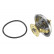 Thermostat, coolant, Thumbnail 3