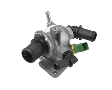 Thermostat, coolant
