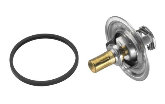 Thermostat, coolant, Image 2