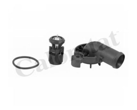 Thermostat, coolant