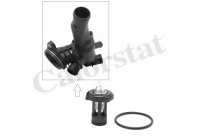 Thermostat, coolant