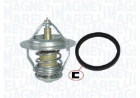 Thermostat, coolant