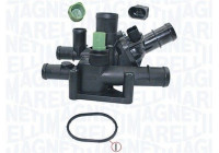 Thermostat, coolant
