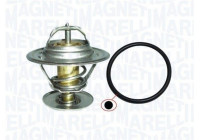 Thermostat, coolant