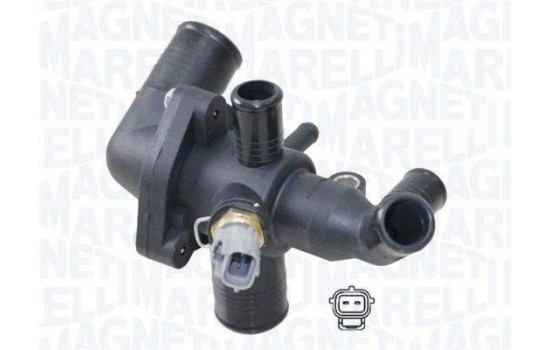 Thermostat, coolant