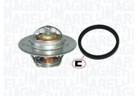 Thermostat, coolant