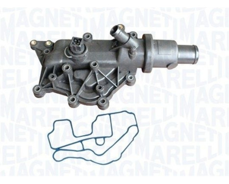 Thermostat, coolant