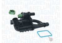 Thermostat, coolant