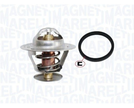 Thermostat, coolant