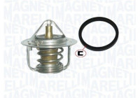 Thermostat, coolant