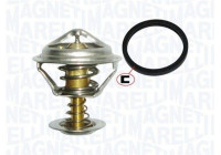 Thermostat, coolant