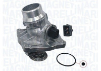 Thermostat, coolant