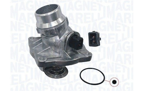 Thermostat, coolant