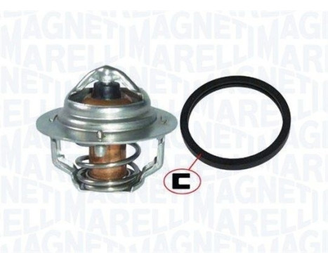 Thermostat, coolant