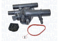 Thermostat, coolant