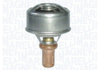 Thermostat, coolant
