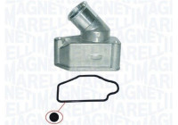 Thermostat, coolant
