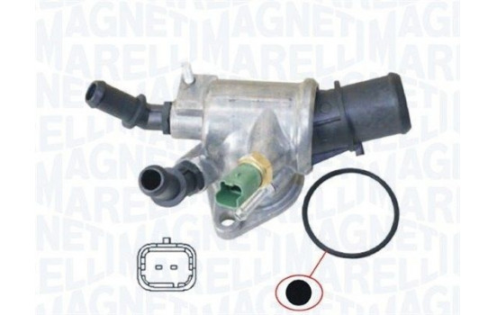 Thermostat, coolant