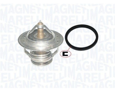 Thermostat, coolant