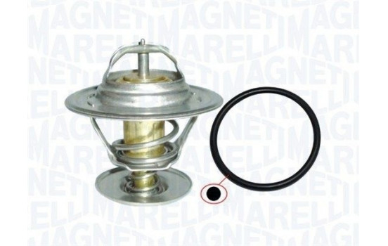 Thermostat, coolant