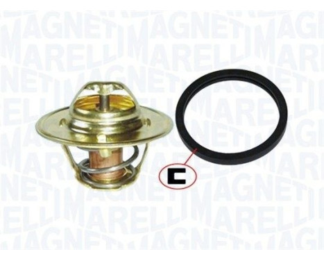 Thermostat, coolant