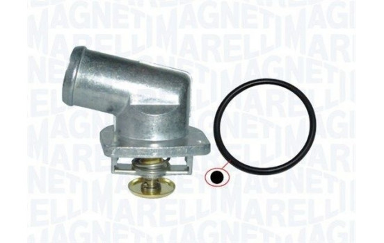 Thermostat, coolant